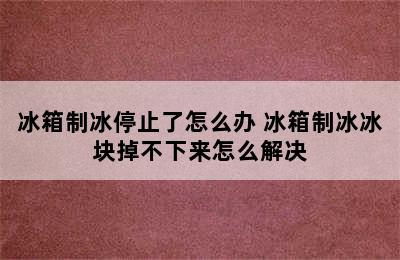 冰箱制冰停止了怎么办 冰箱制冰冰块掉不下来怎么解决